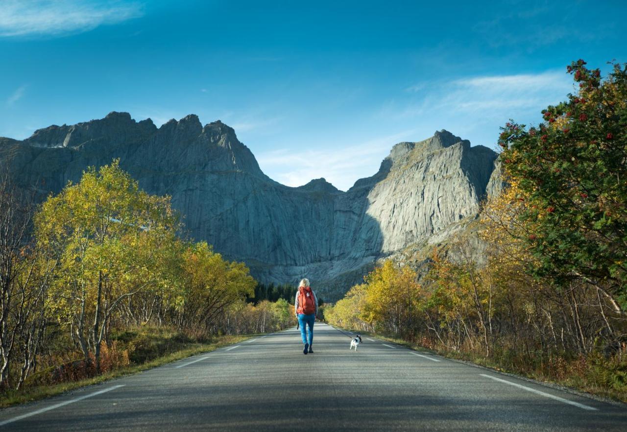 Lofoten Cottages By Nussfjord Exterior foto